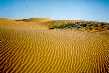Dunes, Thar desert